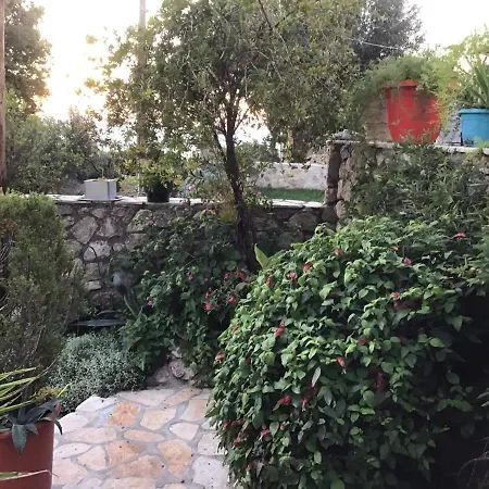 Dom wakacyjny Almond Trees *